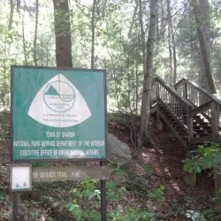 Sharon Town Forest - Sharon