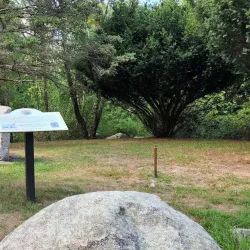 Sharon Town Forest - Sharon