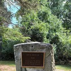 Sharon Town Forest - Sharon