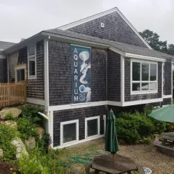 Cape Cod Museum of Natural History - South Yarmouth