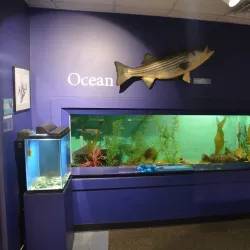 Cape Cod Museum of Natural History - South Yarmouth