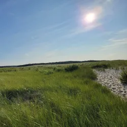 Cape Cod Museum of Natural History - South Yarmouth
