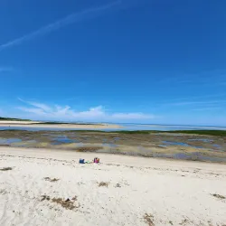 Cape Cod Museum of Natural History - South Yarmouth