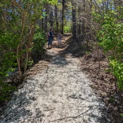 Cape Cod Museum of Natural History - South Yarmouth