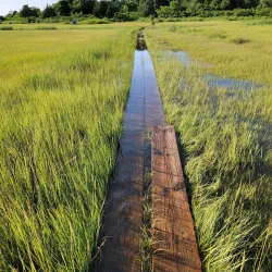 Cape Cod Museum of Natural History - South Yarmouth