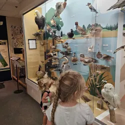 Cape Cod Museum of Natural History - South Yarmouth
