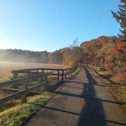Cape Cod Rail Trail - South Yarmouth