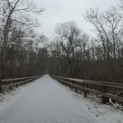Cape Cod Rail Trail - South Yarmouth