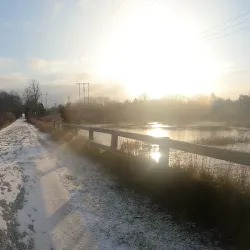 Cape Cod Rail Trail - South Yarmouth