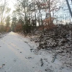 Cape Cod Rail Trail - South Yarmouth