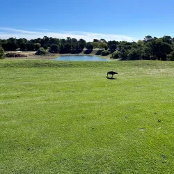 Dennis Highlands Golf Course - South Yarmouth