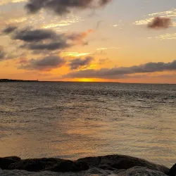 Seagull Beach - South Yarmouth