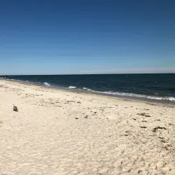 Seagull Beach - South Yarmouth