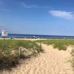 Seagull Beach - South Yarmouth