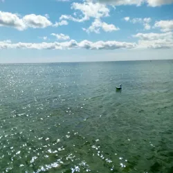 Seagull Beach - South Yarmouth