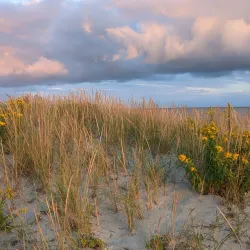 West Dennis Beach - South Yarmouth