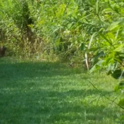 Millers River Greenway - Southbridge