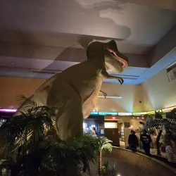 Quadrangle - Springfield