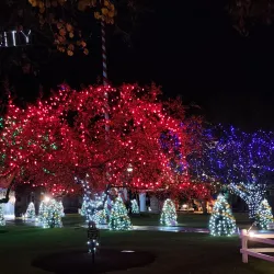 Taunton Green - Taunton