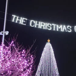 Taunton Green - Taunton