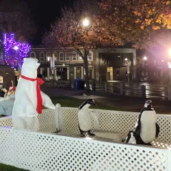 Taunton Green - Taunton