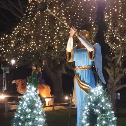 Taunton Green - Taunton