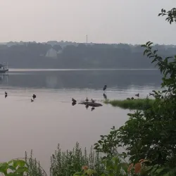 Taunton River Walk - Taunton