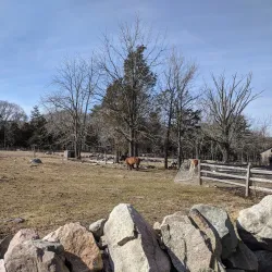 Weir River Farm - Taunton