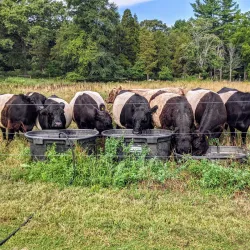 Weir River Farm - Taunton