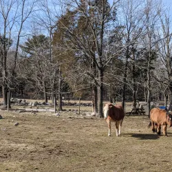 Weir River Farm - Taunton