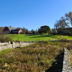 Weir River Farm - Taunton