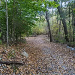 Weir River Farm - Taunton