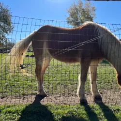 Weir River Farm - Taunton