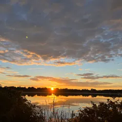 Lake Quannapowitt - Wakefield