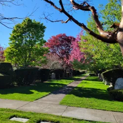 Lake Quannapowitt - Wakefield