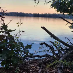 Nichols Lake - Wakefield