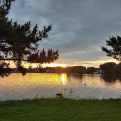 Wakefield Farmers Market - Wakefield