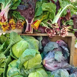 Wakefield Farmers Market - Wakefield