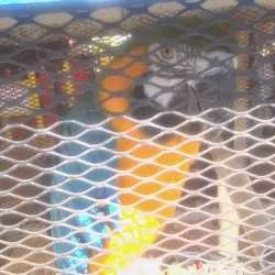 An image showcasing the beauty of West Springfield