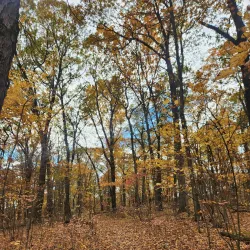 Pine Point Park - West Springfield