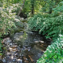 Pine Point Park - West Springfield