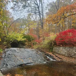 Pine Point Park - West Springfield