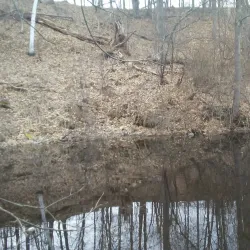 Pine Point Park - West Springfield