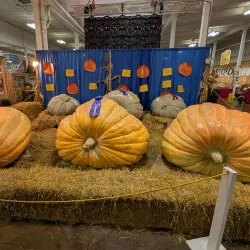 The Eastern States Exposition (The Big E) - West Springfield