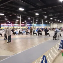 The Eastern States Exposition (The Big E) - West Springfield