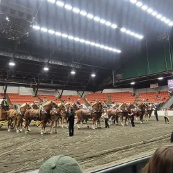 The Eastern States Exposition (The Big E) - West Springfield
