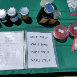 West Springfield Farmers Market - West Springfield