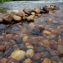 Westfield River Greenway - West Springfield
