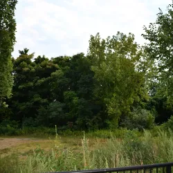 Westfield River Greenway - West Springfield