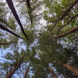 Hopkinton State Park - Westborough